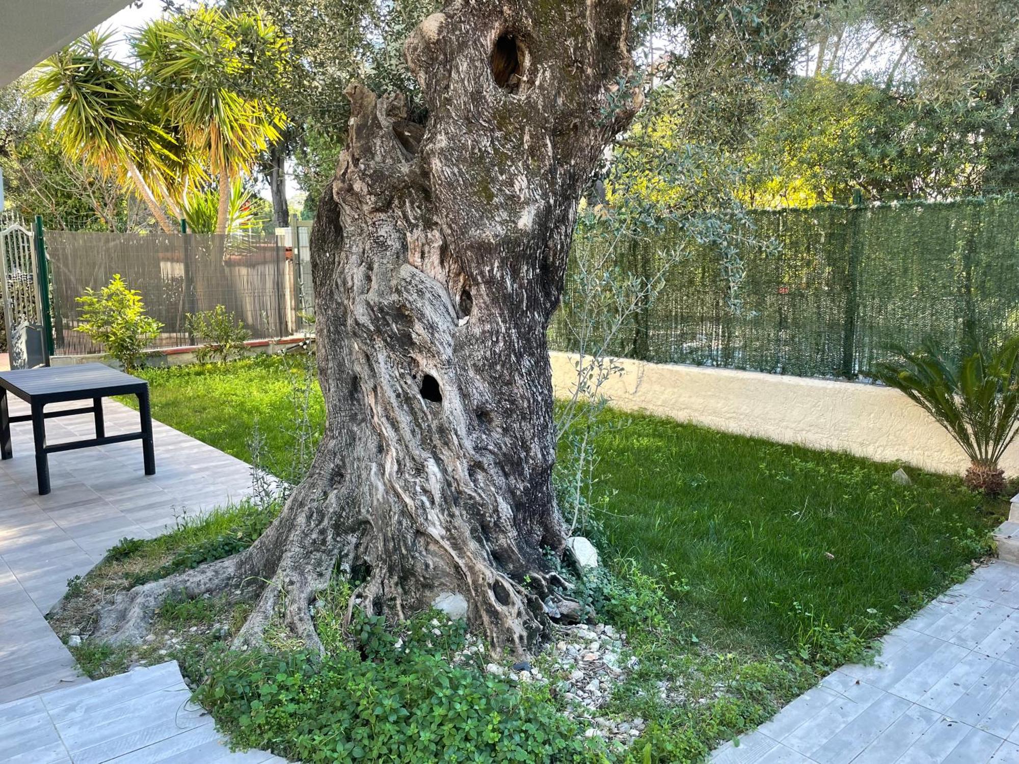 Joli Rez De Jardin 4 Pieces A Cagnes Sur Mer Exterior photo